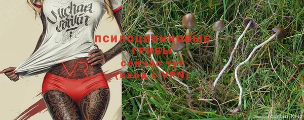 винт Балахна