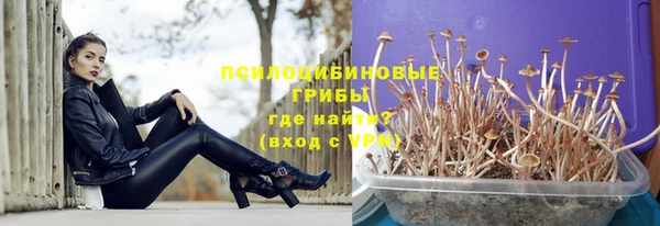 винт Балахна
